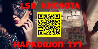 дживик Кингисепп