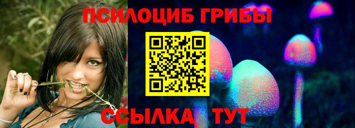 Лабинск  Галлюциногенные грибы GOLDEN TEACHER  Вход с VPN  купить наркоту  Галлюциногенные грибы прущие грибы 